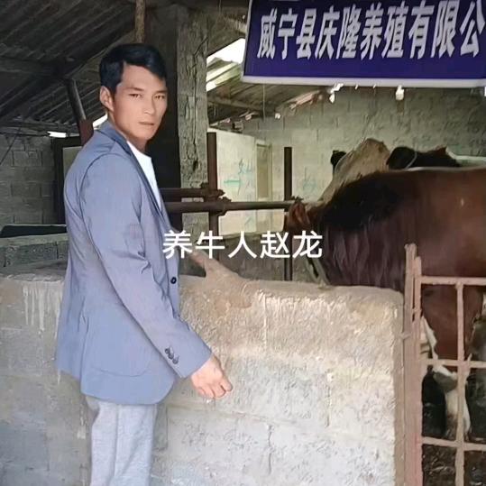 农村养牛人