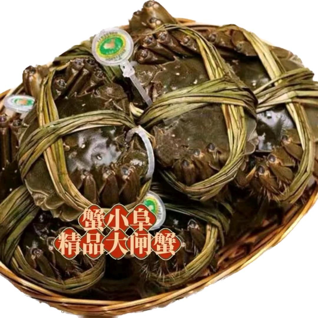 BDBZ蟹小阜大闸蟹开发区专用号