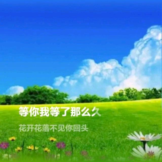 草原的风