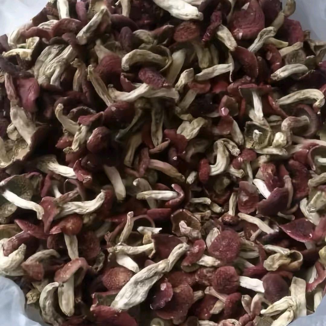 云南做野生菌的小刘