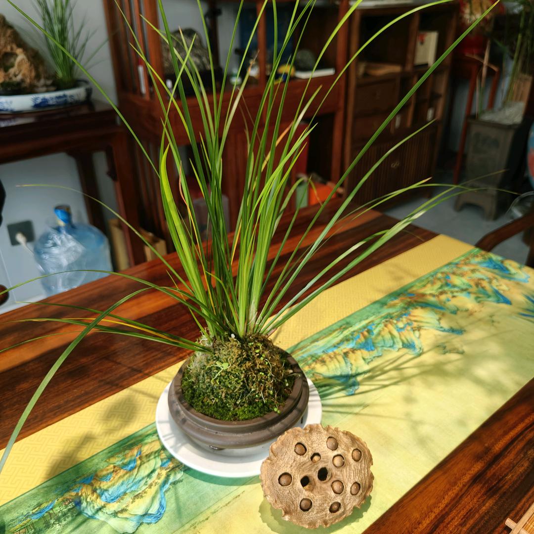 韦小宝（西安油漆工）