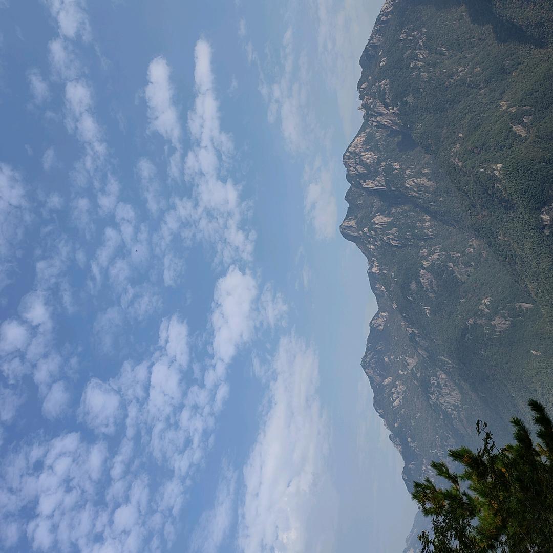 答布溜