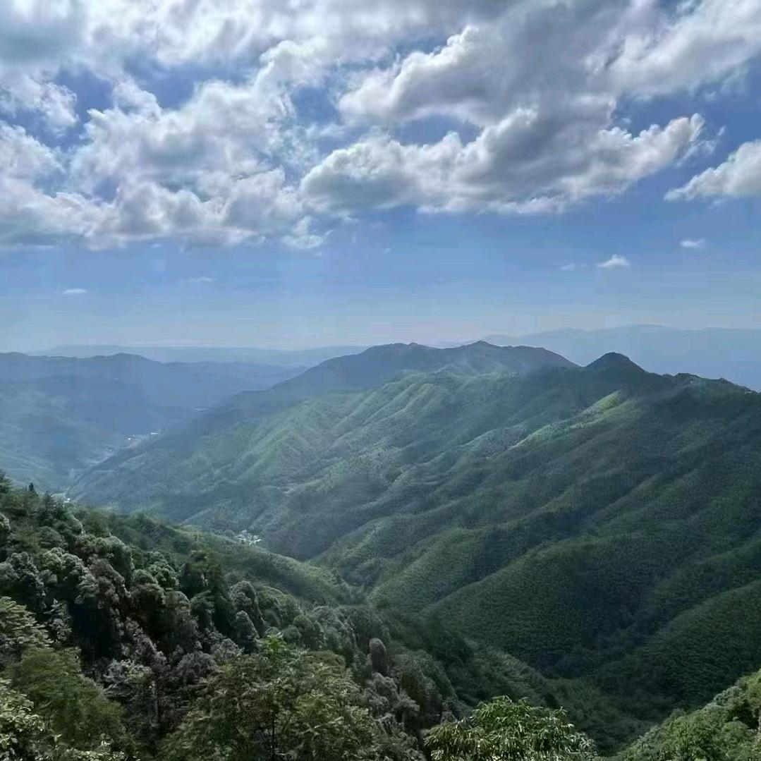 激情岁月