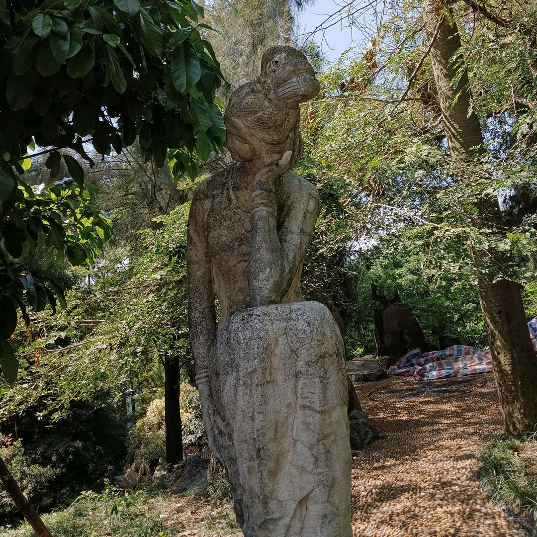 烟雨人间