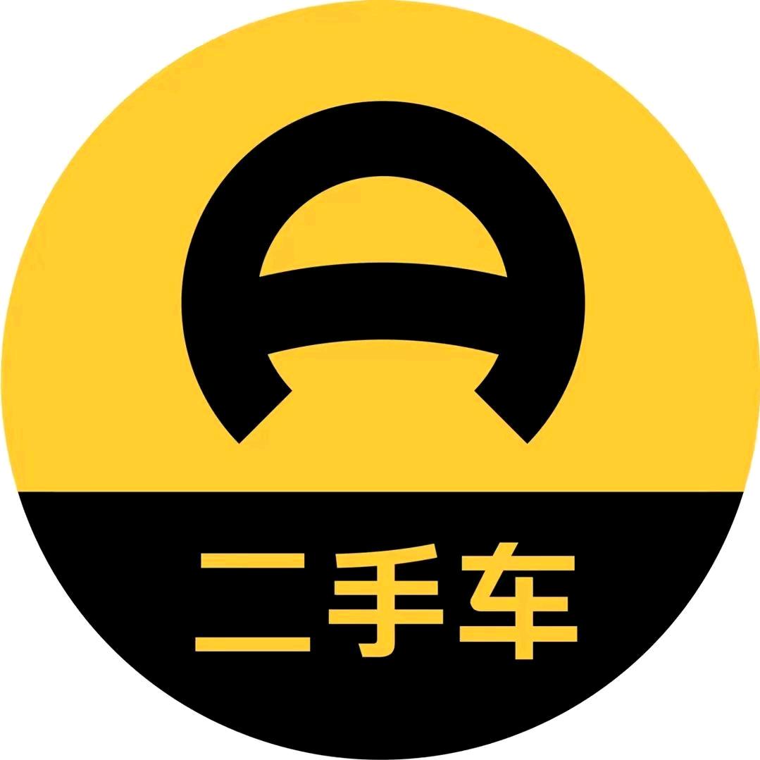 懂车帝二手车倩倩燃油车