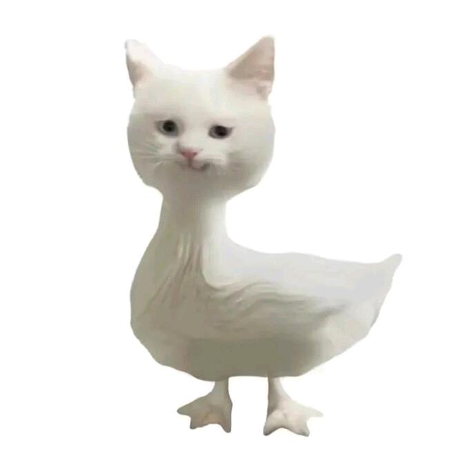 OQO