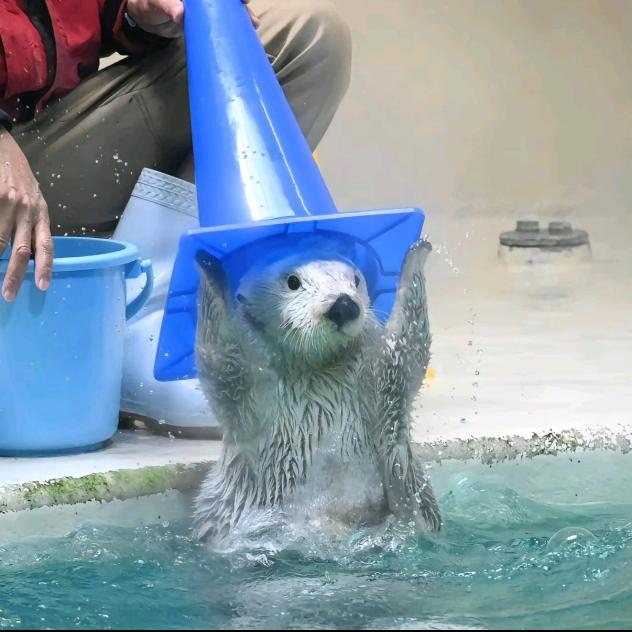 🌈荣荣荣荣妹🐌