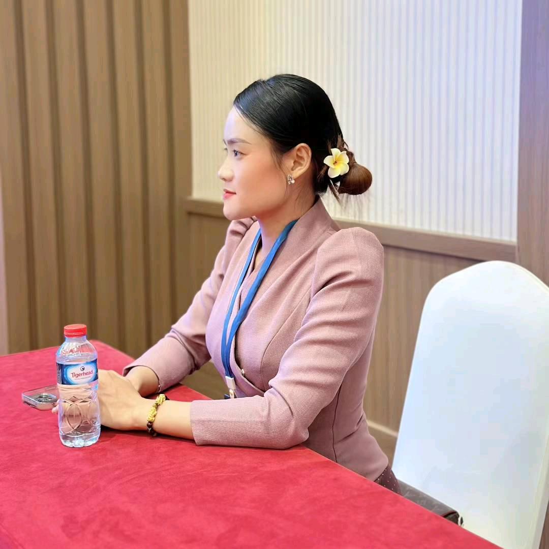 老挝小冰冰🇱🇦中文导游, 中老翻译