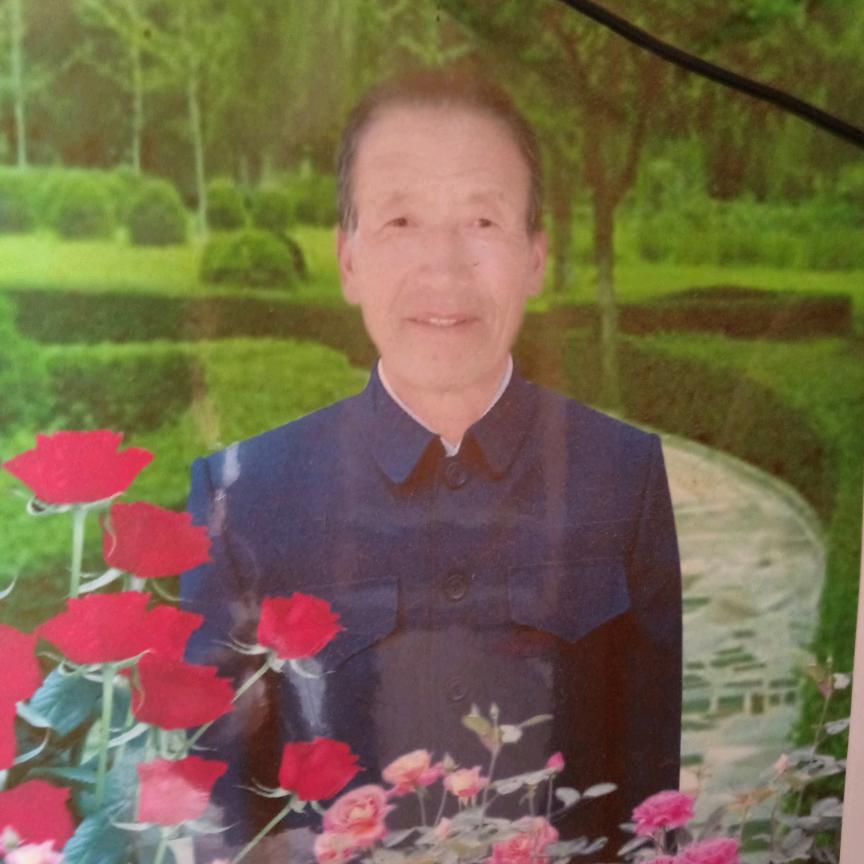 乡野闲鹤