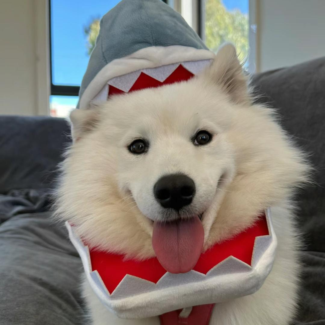 小杨不会接发旋🏓