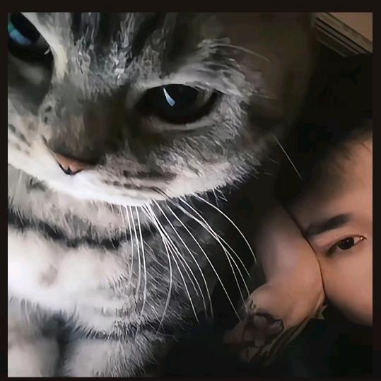 红红太阳满天飞