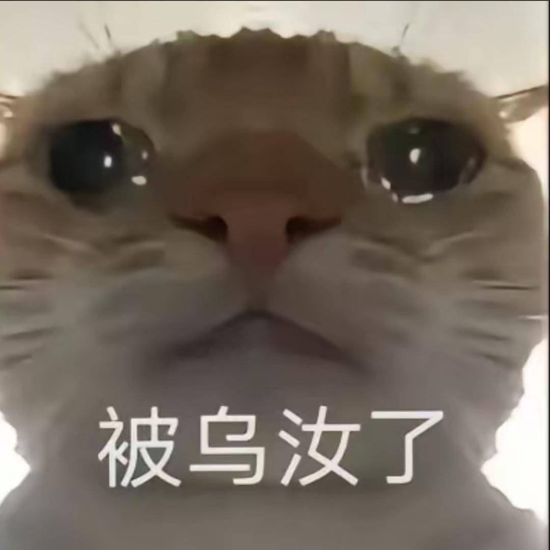 知雾吟
