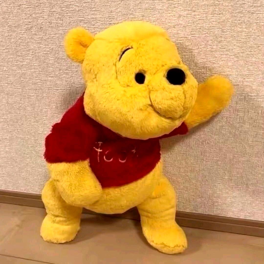 小布丁z