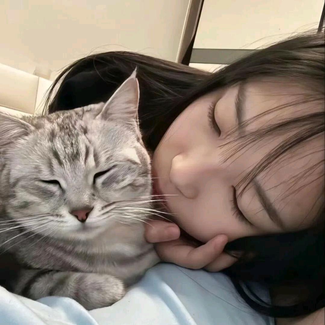 呆呆大王