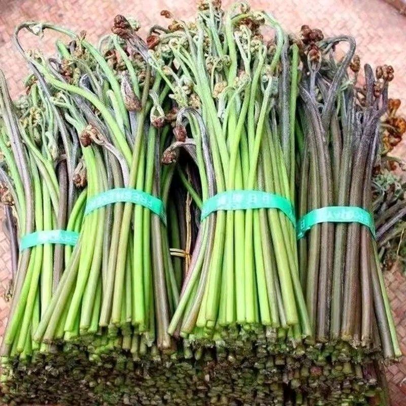 地地道道的农民