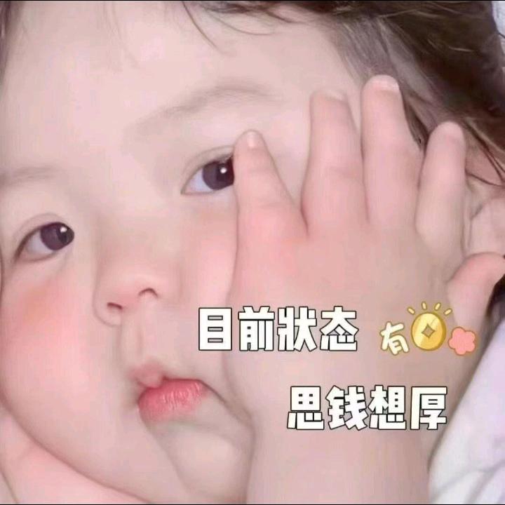 新疆尼勒克黑蜂