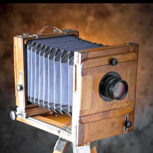 精叼细啄(日更)