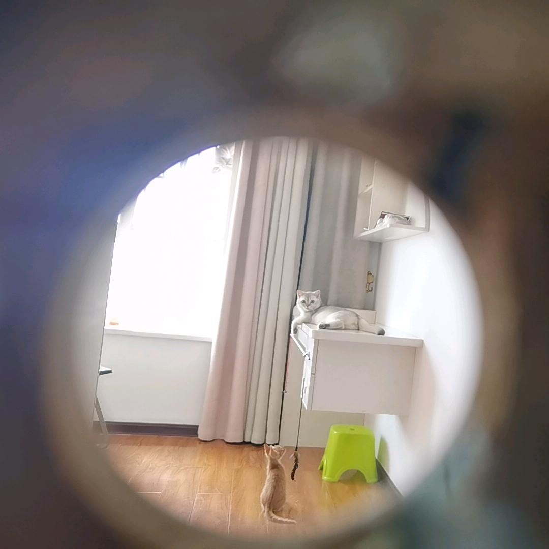 蒙住了眼睛