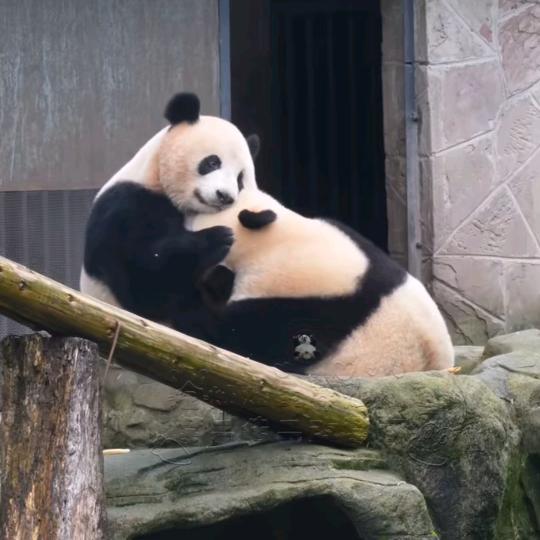 丁姐