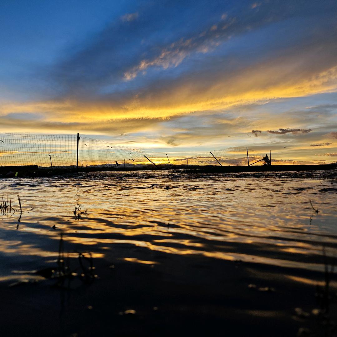 不要让时代的悲哀，成为你的悲哀。