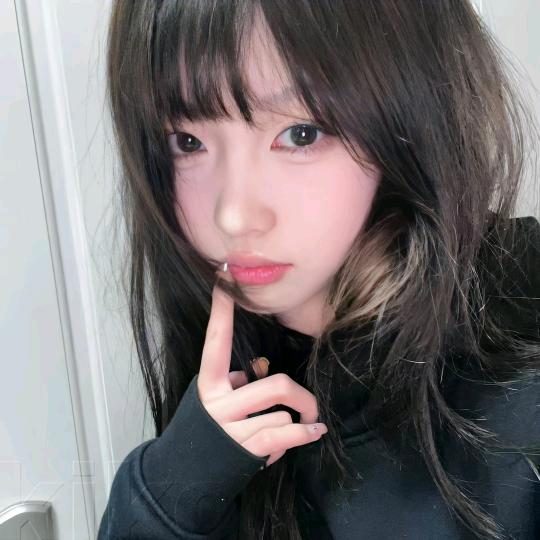 椿.