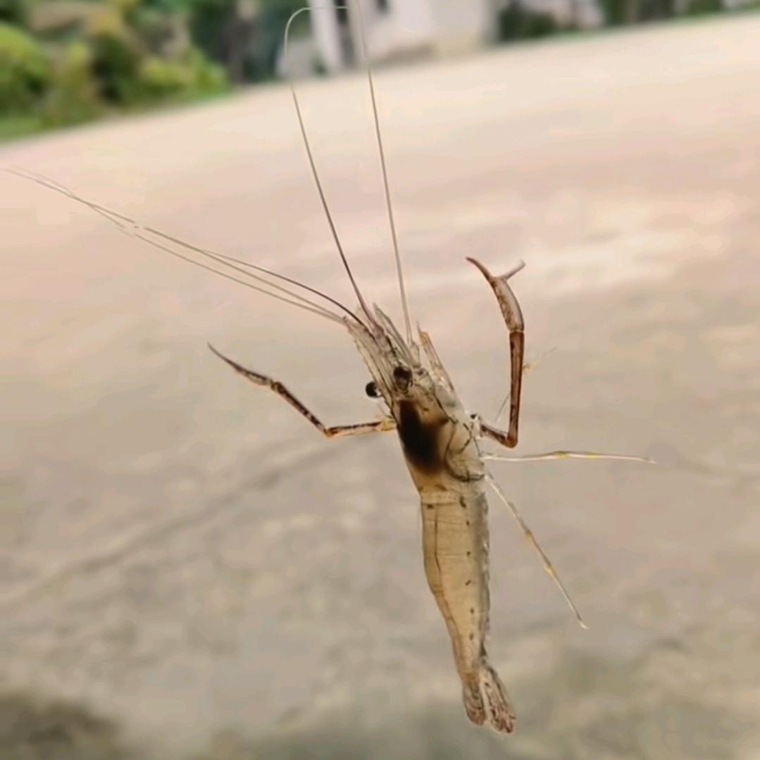 ࿐ོ仧↔乆࿐ོ