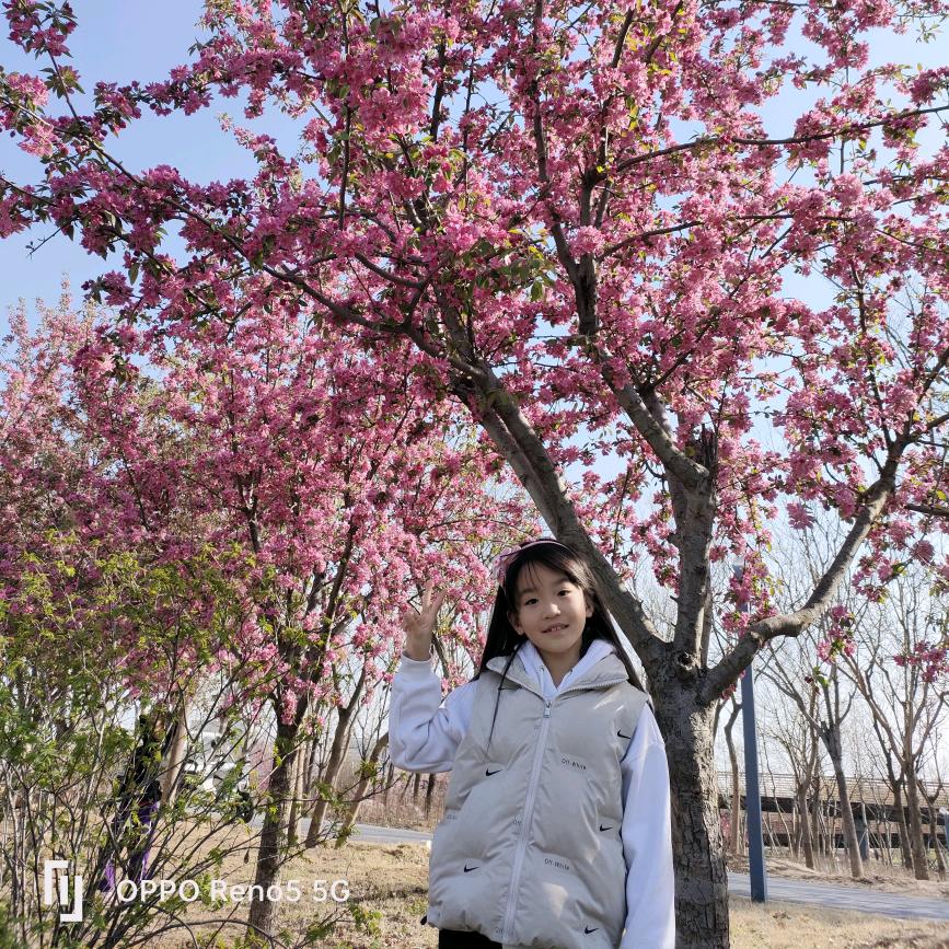 妍(๑• . •๑)