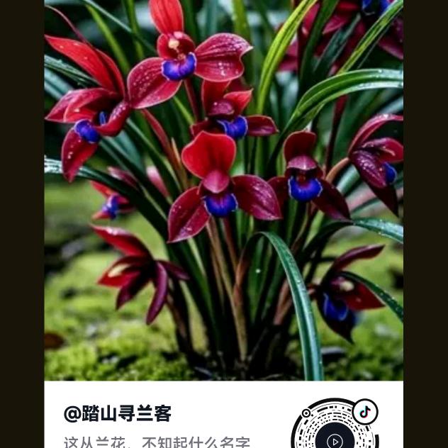 周德林