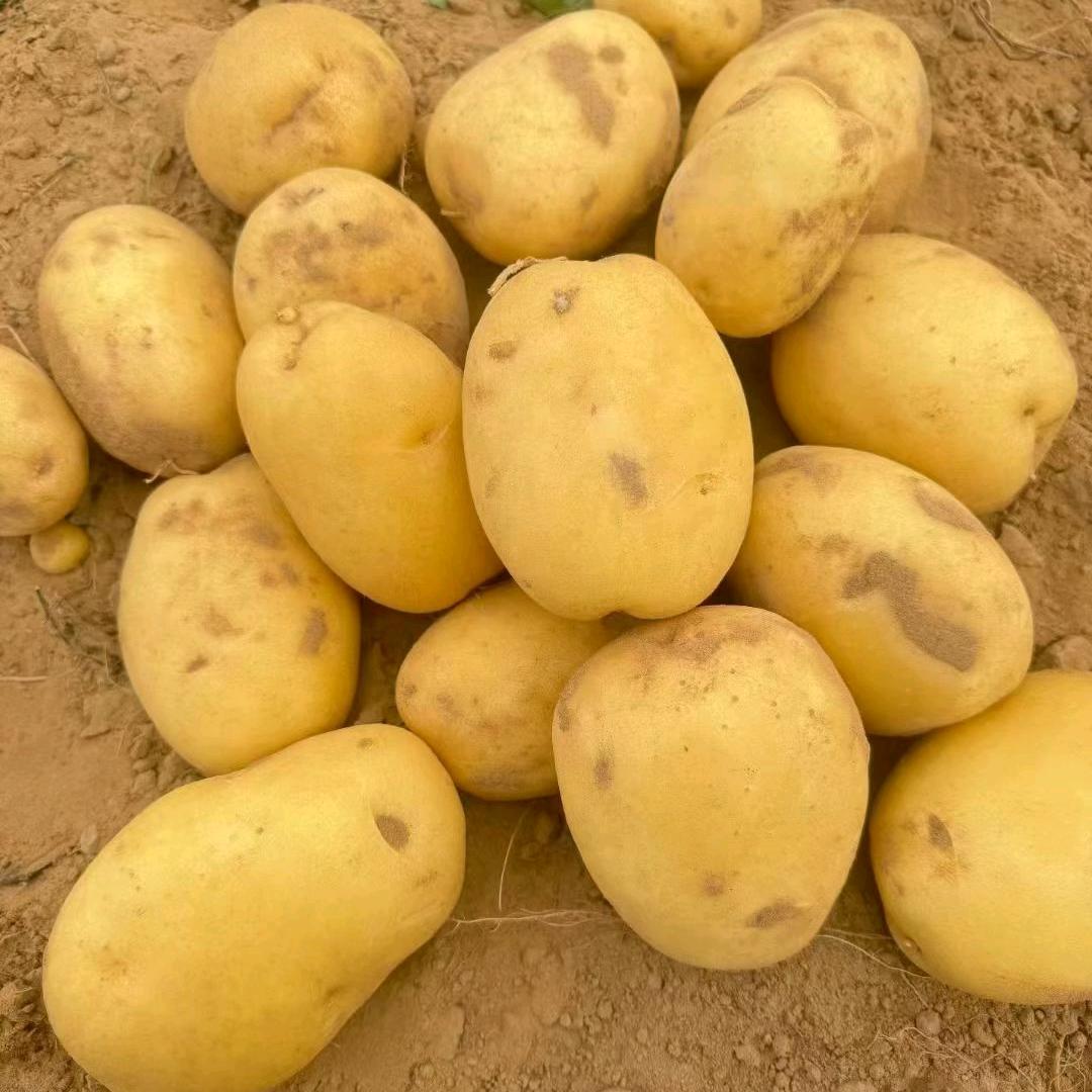 ☞和谐土豆人☜