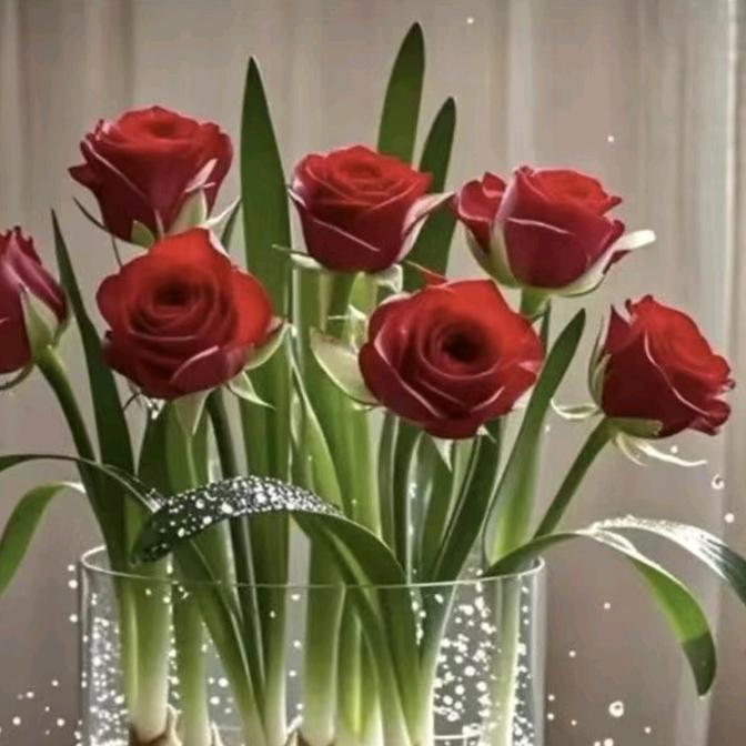 有👉你🌹就够了💞