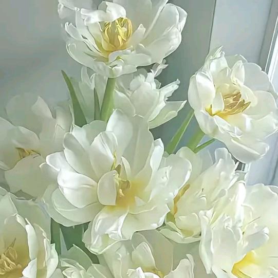 普尺
