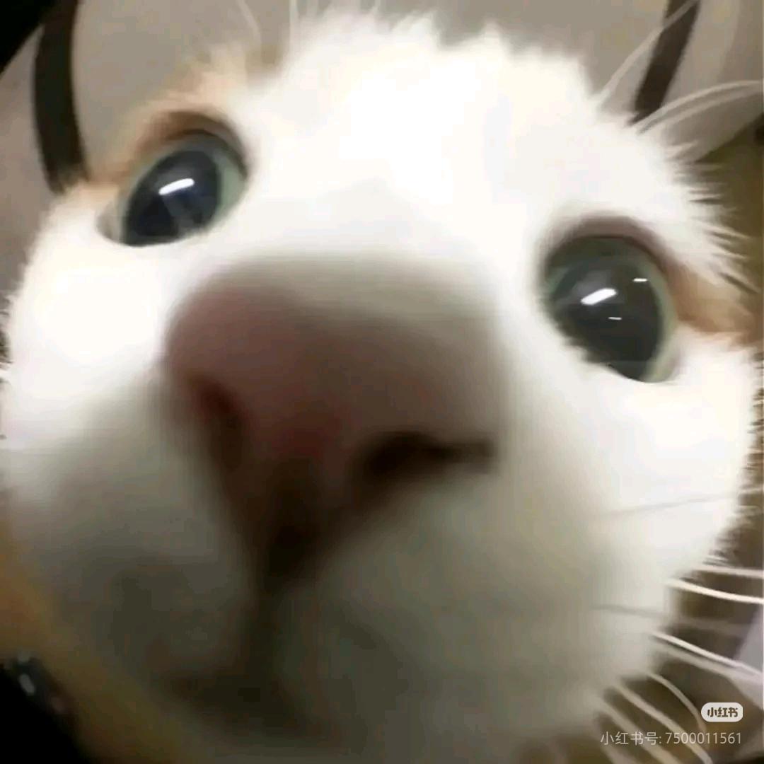 谈什么不如檀健次