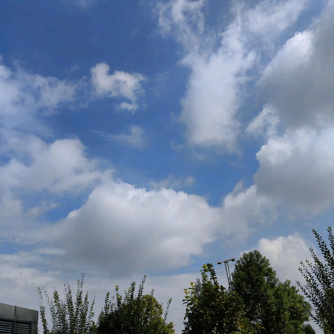 逸沐童鞋1