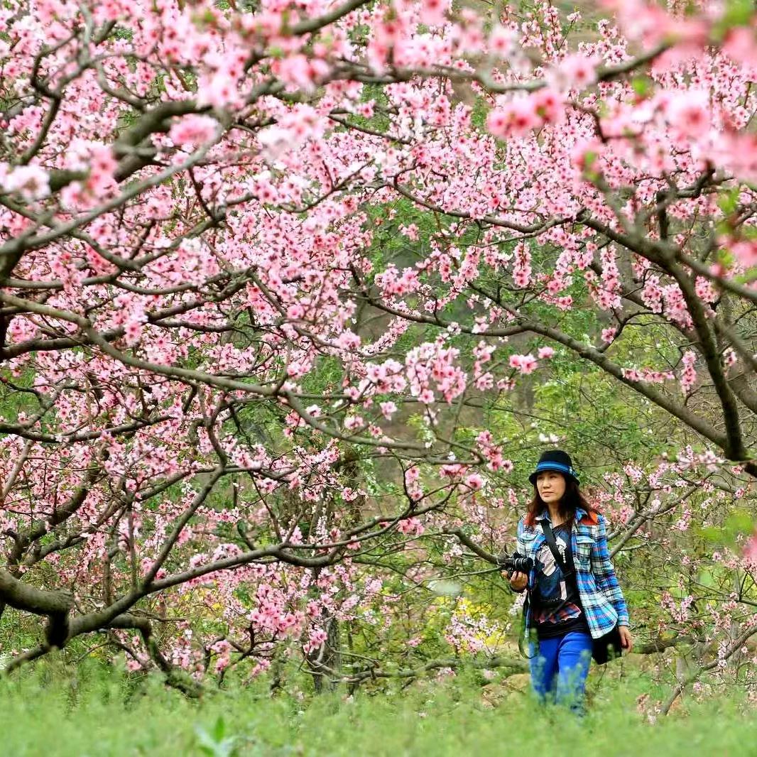 山间菇凉