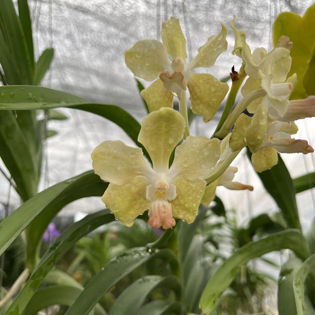 云南昆明不晚花舍