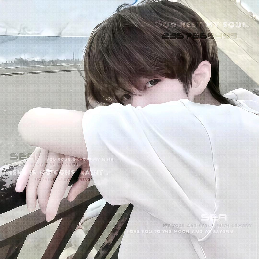 情海