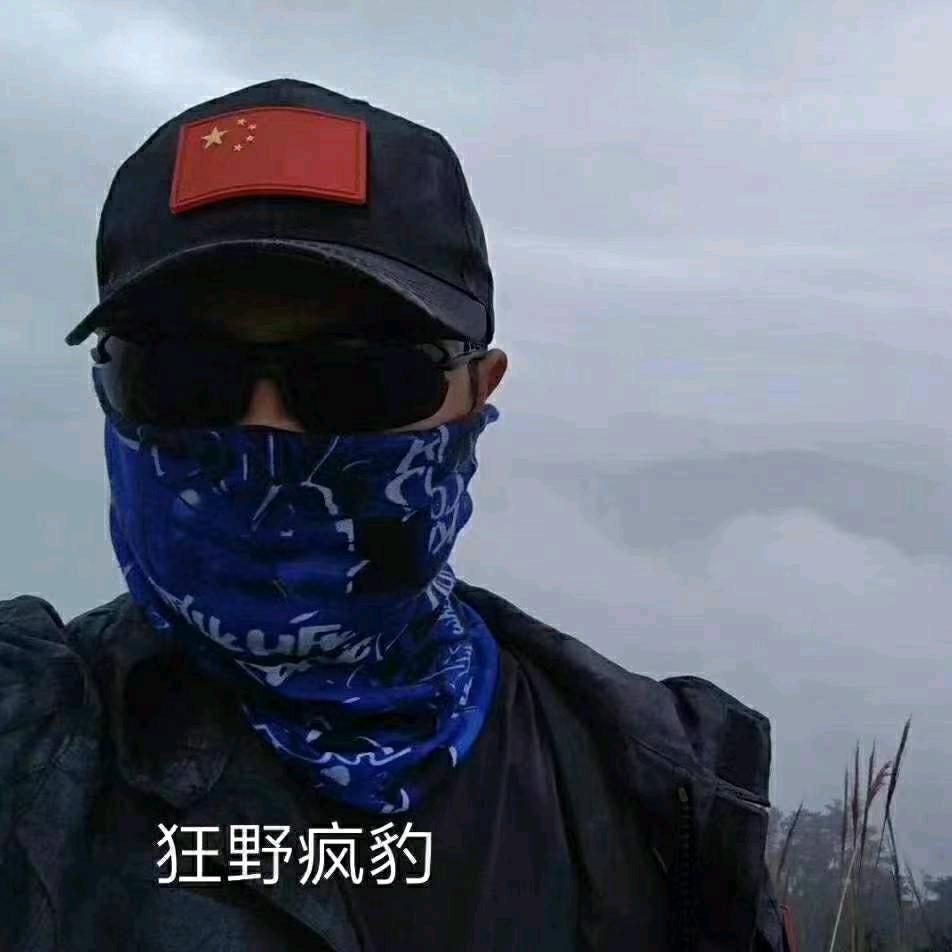 狂野疯豹