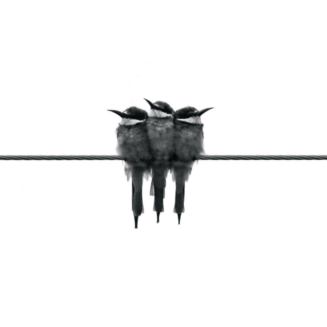 小林子linglin🤟