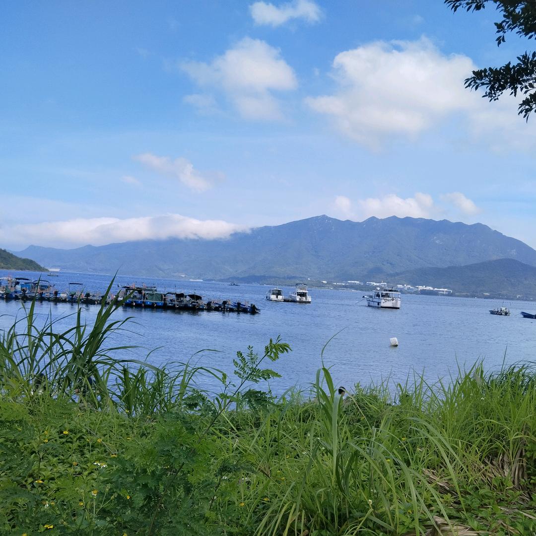 如果没有如果