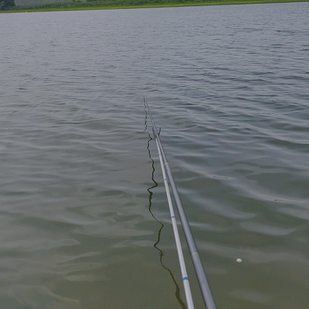 余晓渔（代办汽车年检）