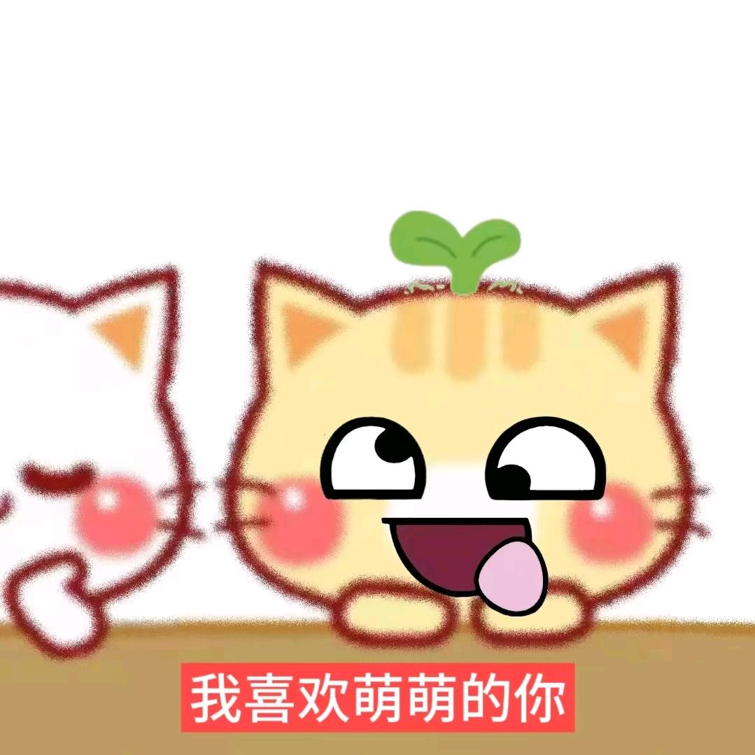 还是算了