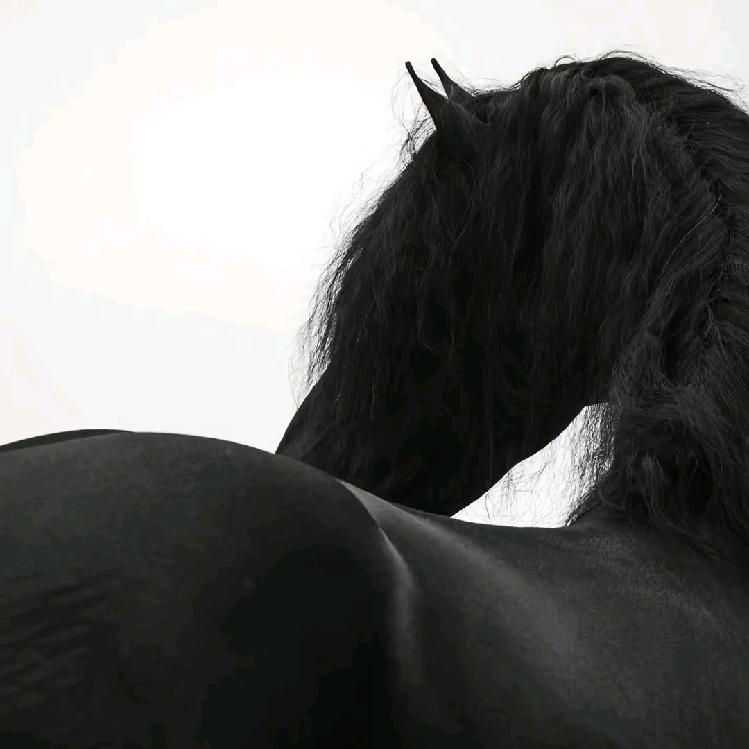 霹雳狗