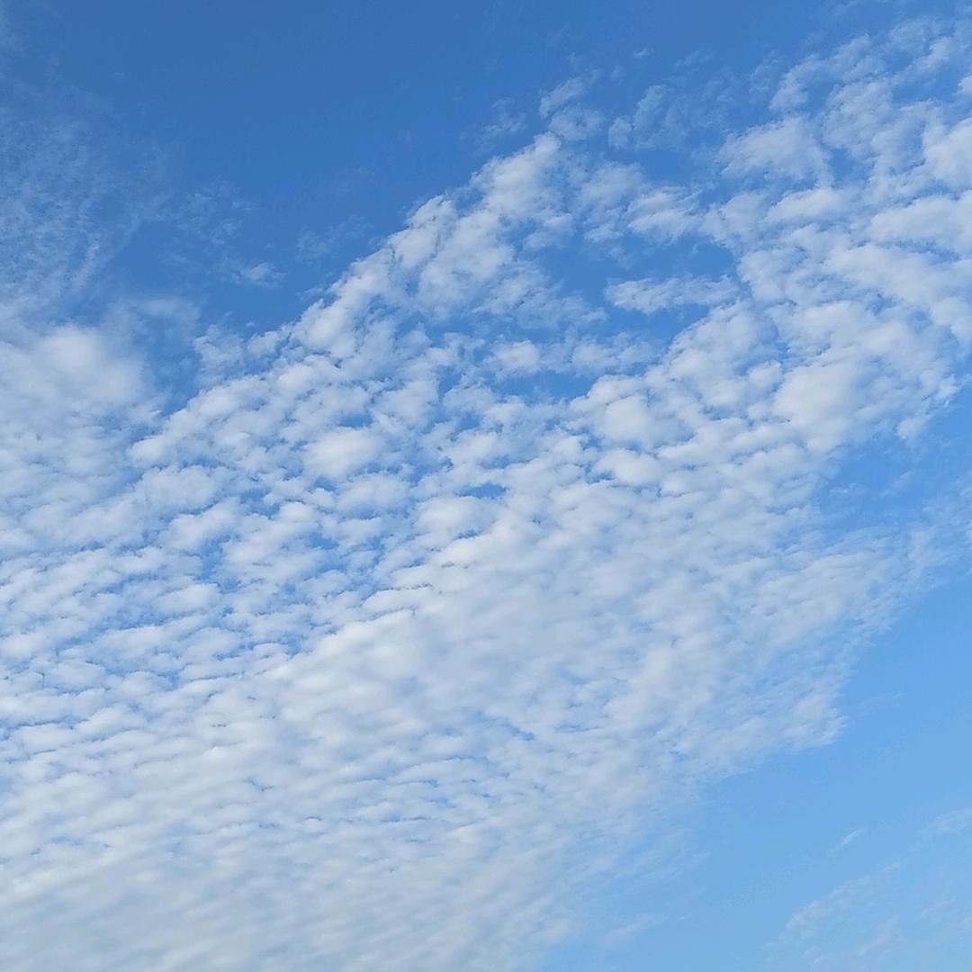 六一三