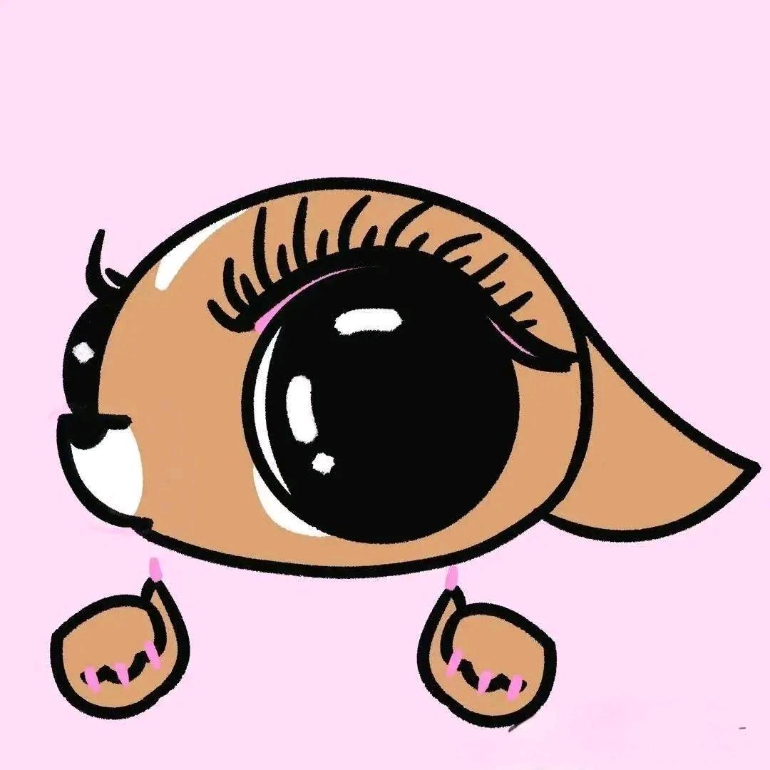 周末儿到河北～