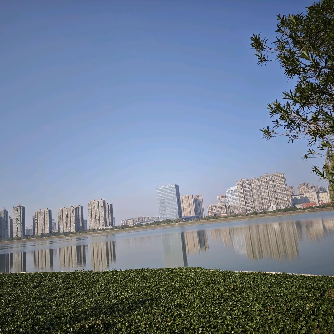 我是风，你是雨🍁
