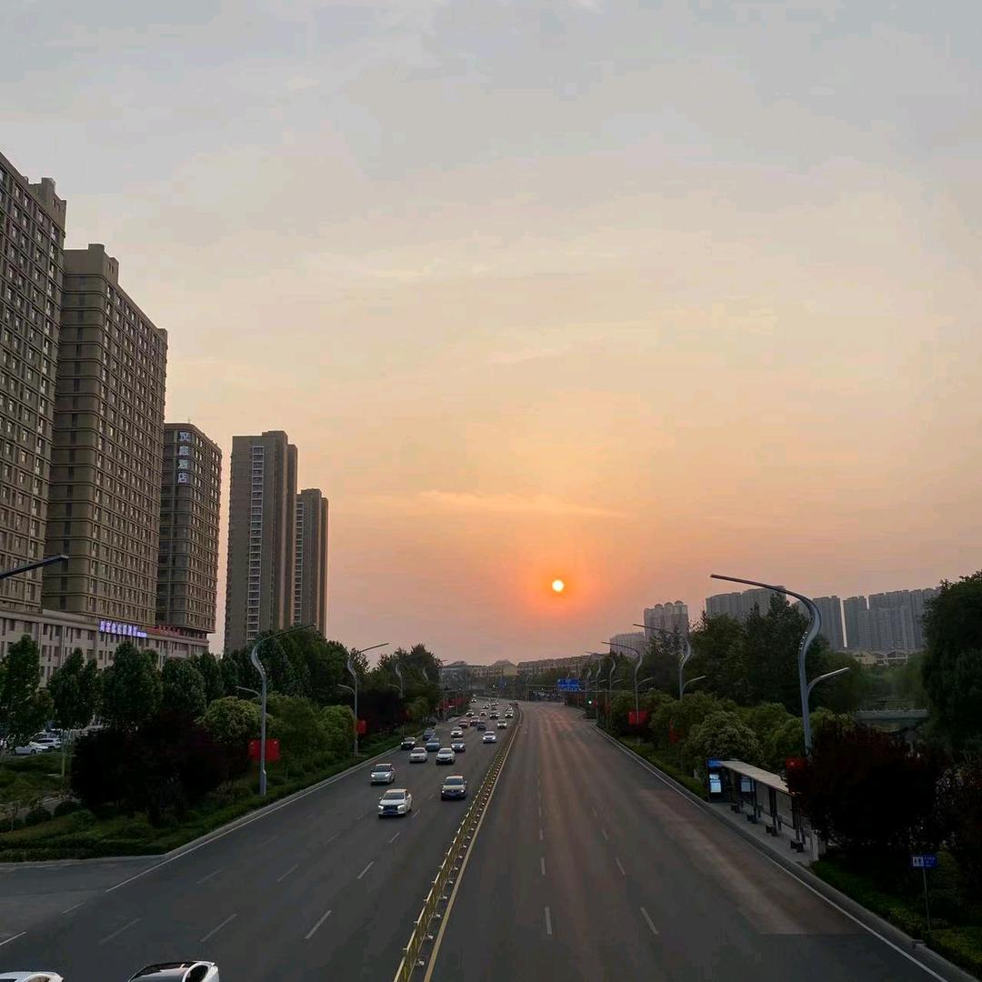 小八八