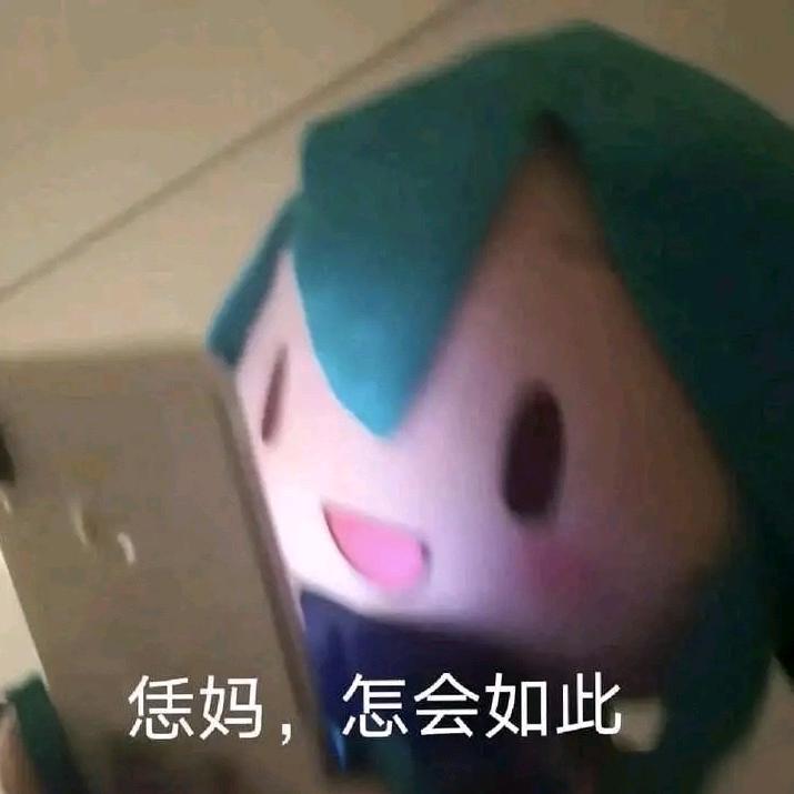 鲤鱼王