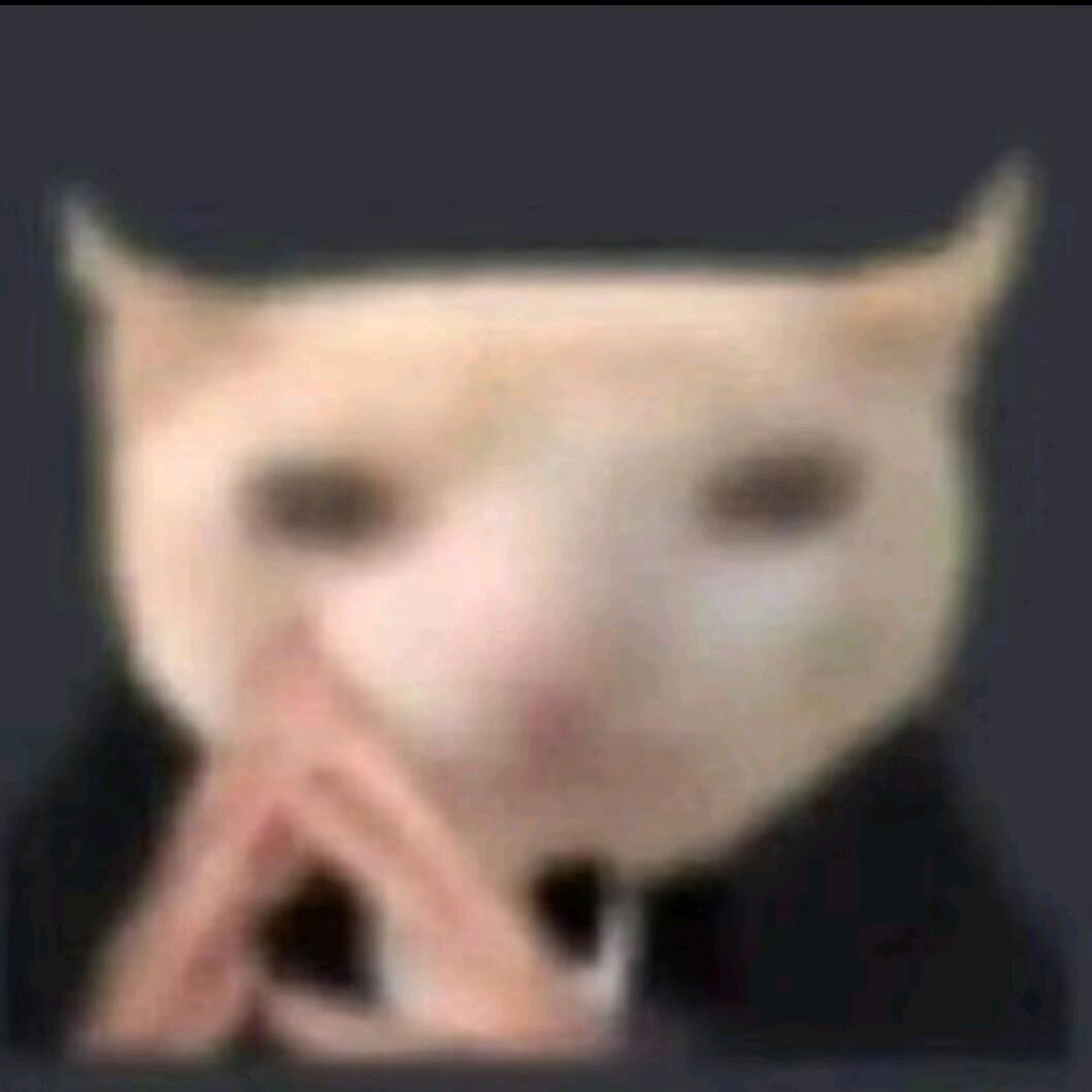 •᷄ࡇ•᷅