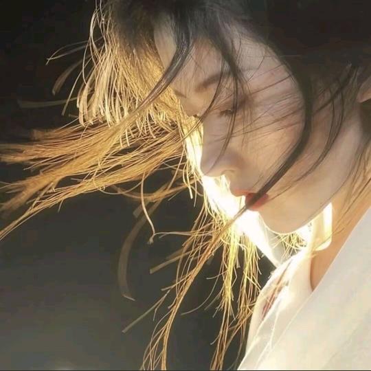梧桐