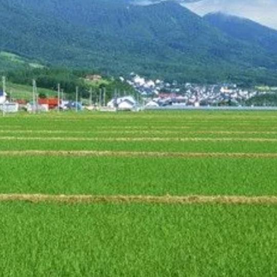 苏州网约车租车